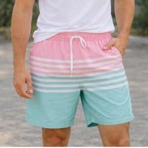 Chubbies On The Horizon Board Shorts Small Blue Pink Stripe Swim Trunks 7" Beach